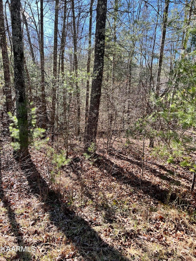 136 Natchez Cir, Crossville TN, 38558 land for sale