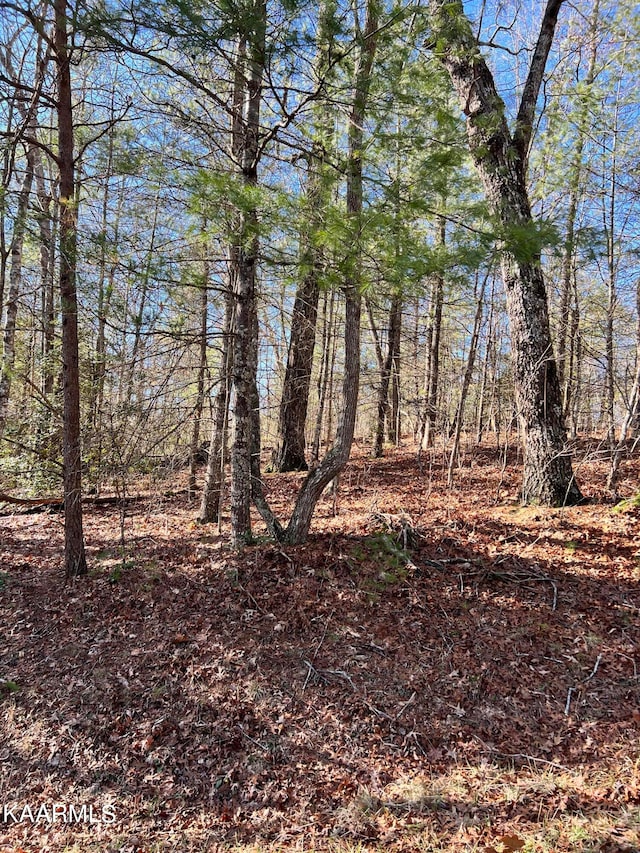 162 Natchez Cir, Crossville TN, 38558 land for sale