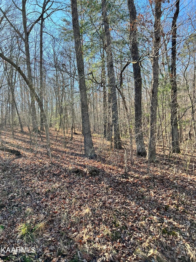 128 Hunterwood Ln, Crossville TN, 38558 land for sale