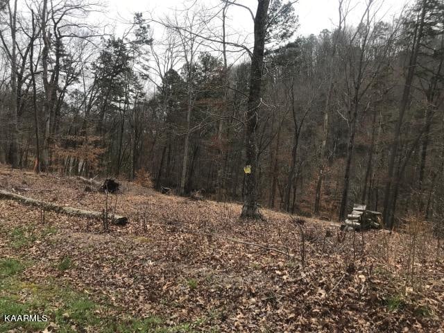 Sawmill Cv, Rockwood TN, 37854 land for sale