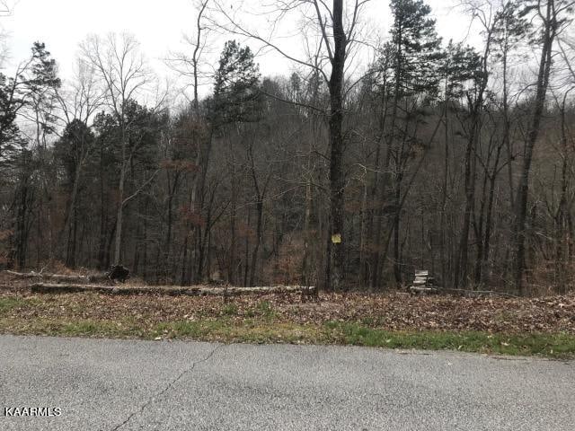 Listing photo 2 for Sawmill Cv, Rockwood TN 37854