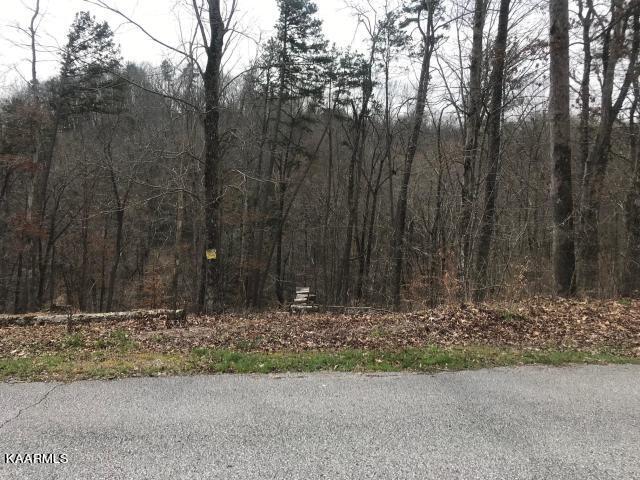 Listing photo 3 for Sawmill Cv, Rockwood TN 37854