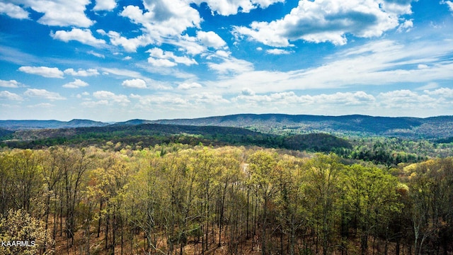 336 Green Ridge Trl, Harriman TN, 37748 land for sale