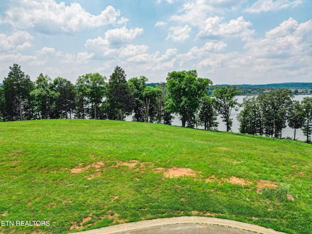 2015 Bulwark Way, Lenoir City, TN 37772 - photo 2