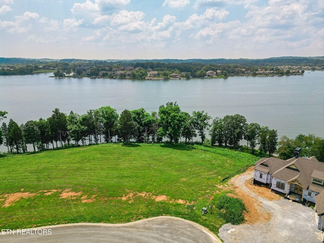 2015 Bulwark Way, Lenoir City, TN 37772 - photo 4