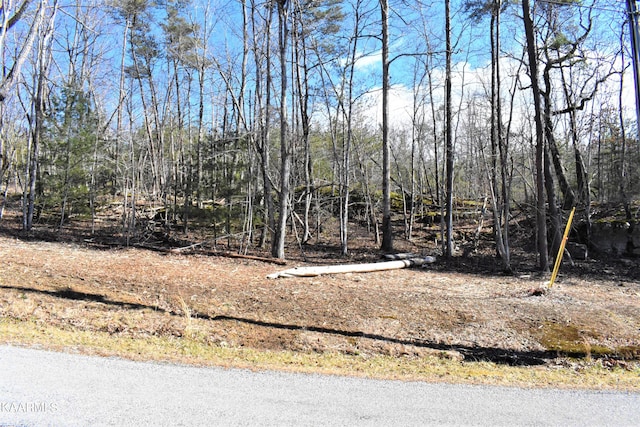 151 Markham Ln, Fairfield Glade TN, 38558 land for sale