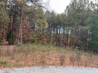 Address Not Disclosed, Madisonville TN, 37354 land for sale