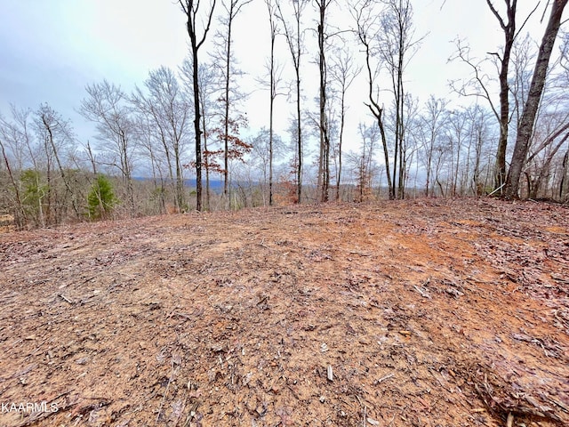 225 Crystal Springs Rd, Rockwood TN, 37854 land for sale