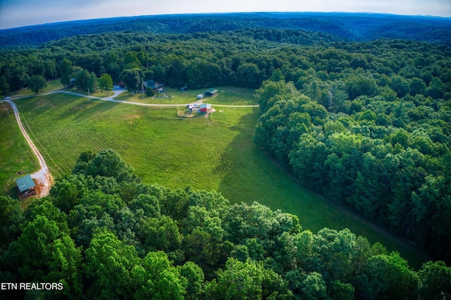 aerial view with a rural view