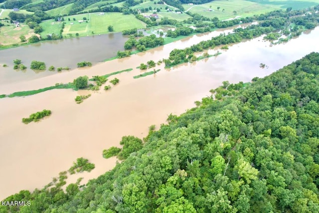 Corn Hollow Rd, Newport TN, 37821 land for sale