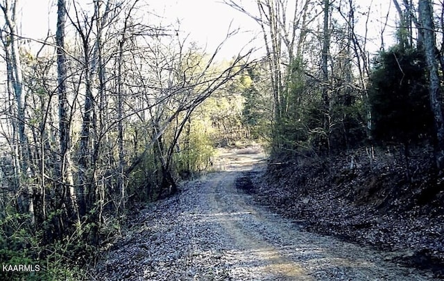 Listing photo 3 for Corn Hollow Rd, Newport TN 37821