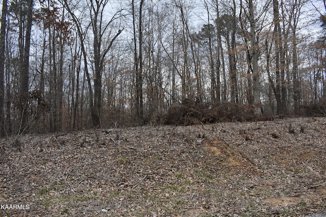 LOT10 Jones Ridge Rd, Speedwell TN, 37870 land for sale