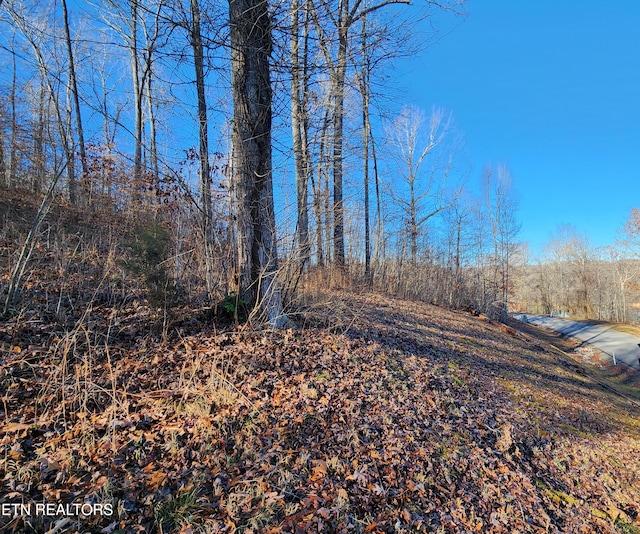 Listing photo 2 for LOT137 Suncrest Cv, Lafollette TN 37766