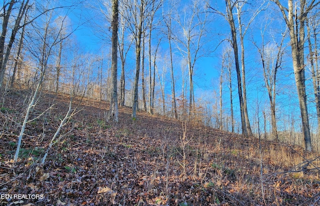 LOT137 Suncrest Cv, Lafollette TN, 37766 land for sale