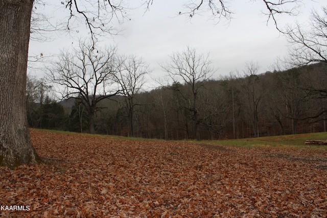 Listing photo 2 for Will Patton Rd, Pall Mall TN 38577