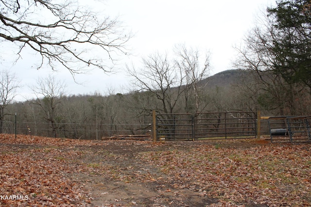 Listing photo 3 for Will Patton Rd, Pall Mall TN 38577