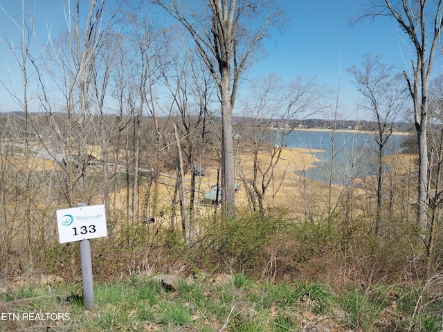 LOT133 W Point Dr, Dandridge TN, 37725 land for sale