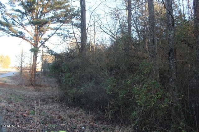 Listing photo 3 for County Road 786, Etowah TN 37331