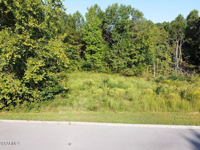 00 Shadows Lawn Dr, Athens TN, 37303 land for sale