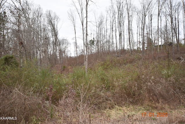 Maple Grove Rd, Ten Mile TN, 37880 land for sale