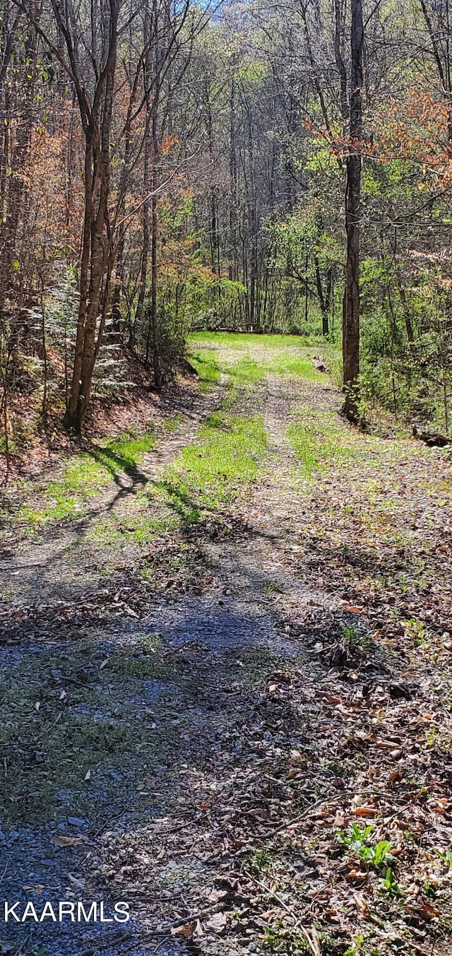 331 Chestnut Ridge Rd, Walland, TN 37886