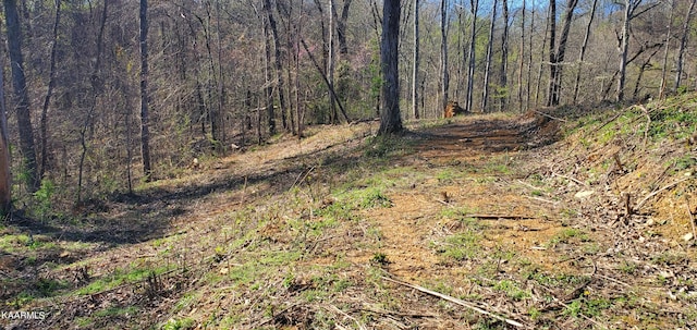 331 Chestnut Ridge Rd, Walland, TN 37886