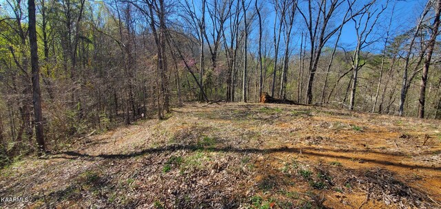 331 Chestnut Ridge Rd, Walland, TN 37886