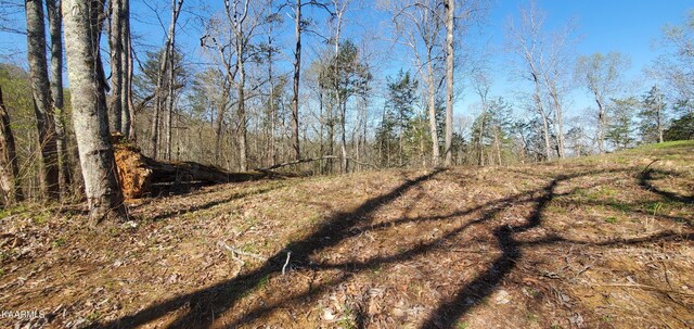 331 Chestnut Ridge Rd, Walland, TN 37886