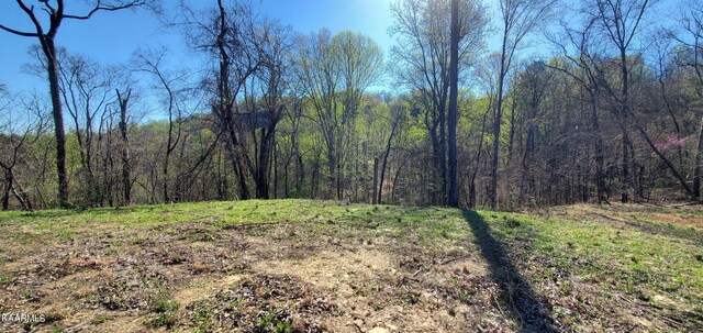 331 Chestnut Ridge Rd, Walland, TN 37886