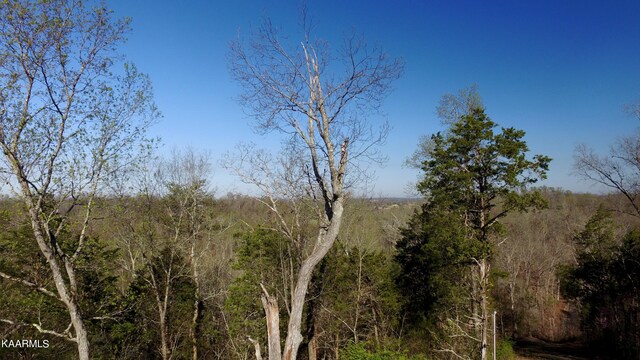 331 Chestnut Ridge Rd, Walland, TN 37886