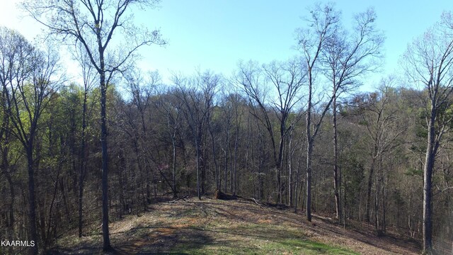 331 Chestnut Ridge Rd, Walland, TN 37886