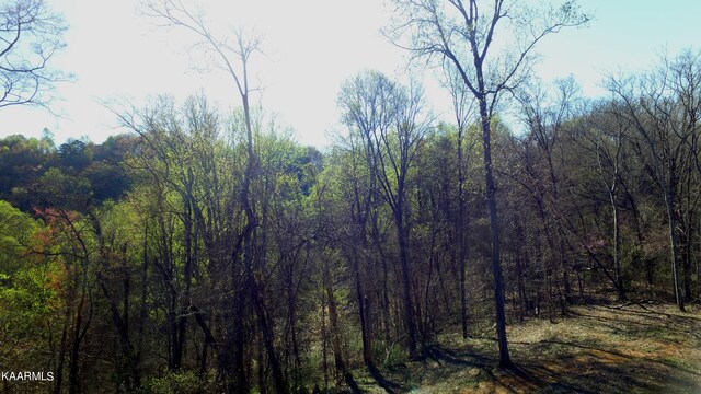 331 Chestnut Ridge Rd, Walland, TN 37886