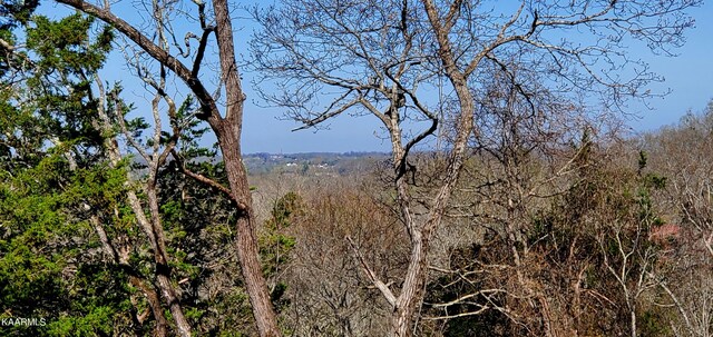 331 Chestnut Ridge Rd, Walland, TN 37886