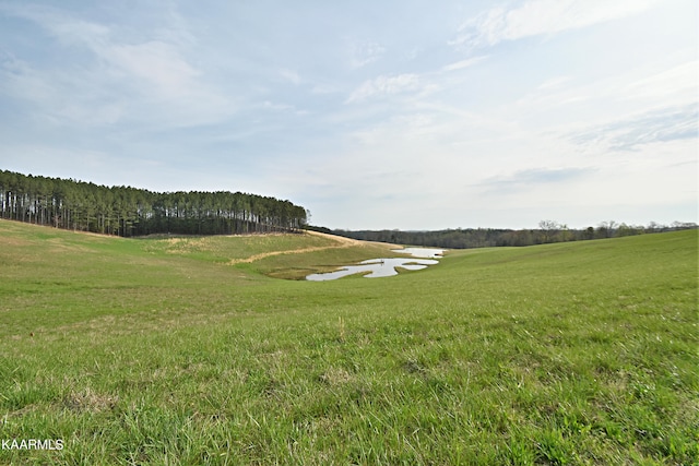 6720 Erie Rd, Sweetwater, TN 37874 - photo 52