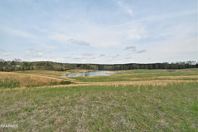 6720 Erie Rd, Sweetwater, TN 37874 - photo 53