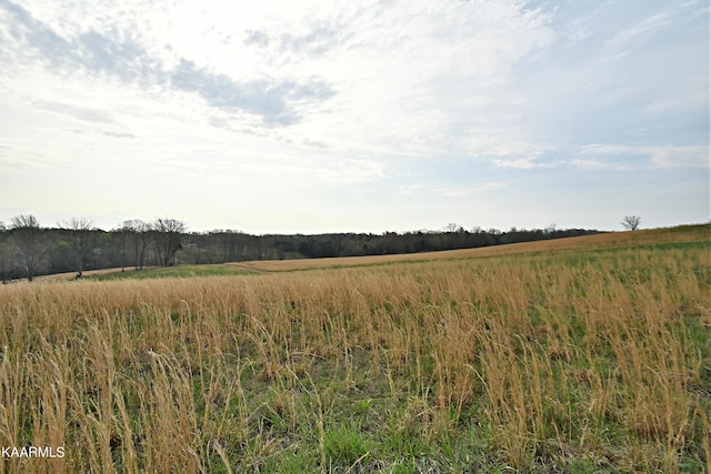 6720 Erie Rd, Sweetwater, TN 37874 - photo 54
