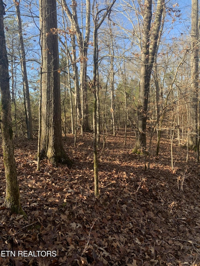 420 Winding Ridge Trl, Seymour, TN 37865 - photo 7
