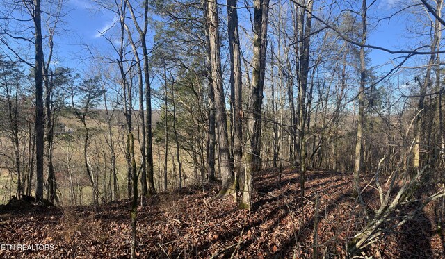 420 Winding Ridge Trl, Seymour, TN 37865 - photo 8