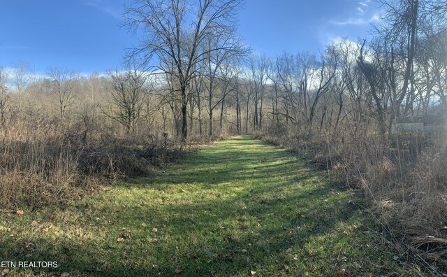 420 Winding Ridge Trl, Seymour, TN 37865 - photo 11