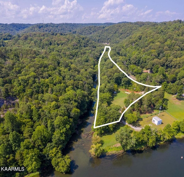 341 Lovely Bluff Rd, Rocky Top TN, 37769 land for sale