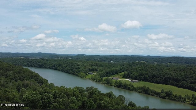 910 Skyline Dr, Harriman, TN 37748 - photo 14