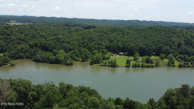 910 Skyline Dr, Harriman, TN 37748 - photo 12