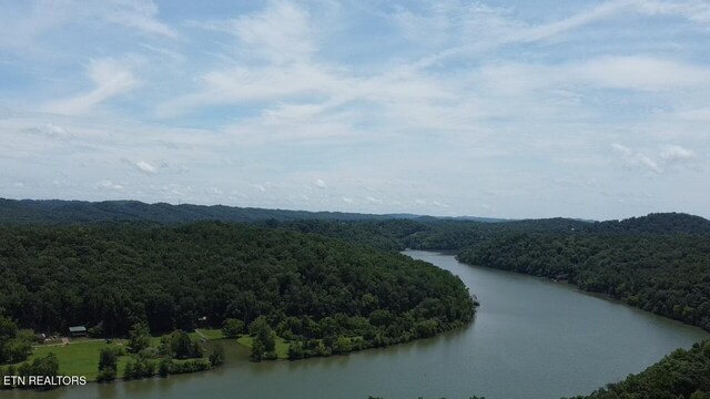 910 Skyline Dr, Harriman, TN 37748 - photo 13
