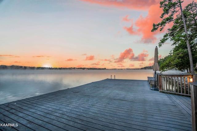 dock area with a water view