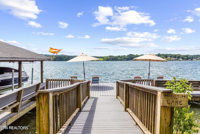 dock area with a water view