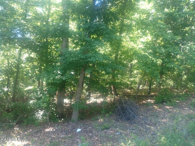 Listing photo 3 for Rendezvous Rd, Lot Rockwood TN 37854