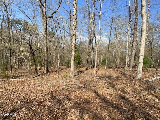 Rendezvous Rd, Lot Rockwood TN, 37854 land for sale