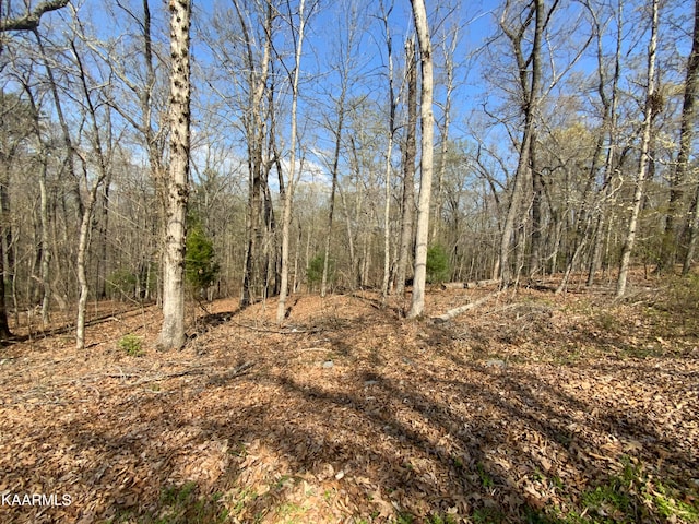 Listing photo 2 for Rendezvous Rd, Lot Rockwood TN 37854