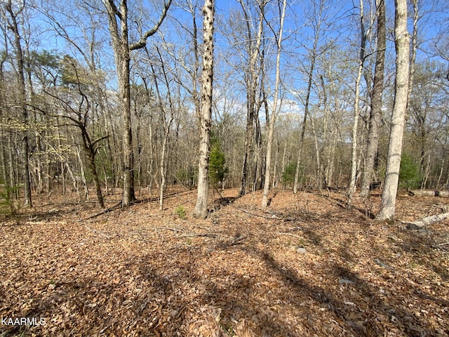 Rendezvous Rd, Lot Rockwood TN, 37854 land for sale