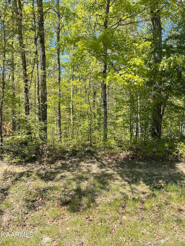 137 Shelley Ln, Crossville TN, 38558 land for sale